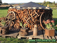 Holz mit elektrischem Holzspalter gespalten