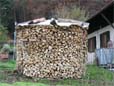 9 Festmeter Holz gut gestapelt