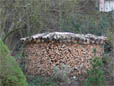 Holzlege aufsetzen mit Holz aus Selbswerbung