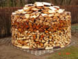 Holzsorten aus Windbruch