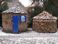 Feuerholz aus dem eigenen Waldstck mit Roteichen